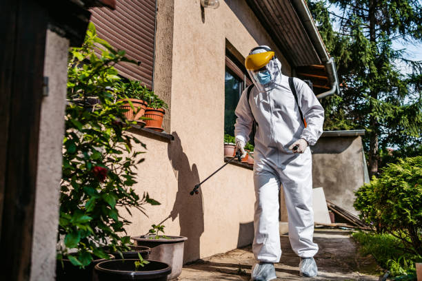 Best Affordable Pest Control Services  in Eden Prairie, MN
