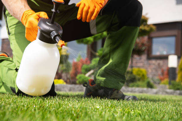 Best Pest Removal Services  in Eden Prairie, MN