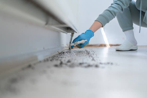 Best Best Pest Control Companies  in Eden Prairie, MN